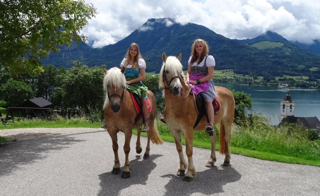 Altroiterhof Villa Sankt Wolfgang im Salzkammergut Luaran gambar